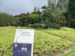 -东平国家森林公园