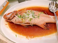 红星斑-阳澄湖费尔蒙酒店颐丰阁中餐厅(马鞍山西路店)
