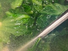 -小荔园·粤菜小馆(美的悦然广场店)
