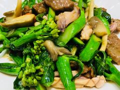 -凤城礼记鱼翅海鲜酒家(新马路总店)