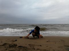 -海滨浴场