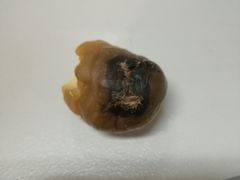 -秋栗香(地安门店)