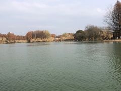 -苏州太湖国家湿地公园