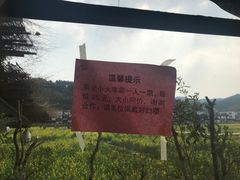 -红山村
