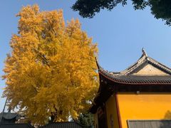 -上海青龙寺