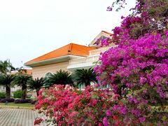 -厦门悦华酒店