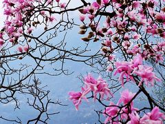 -九皇山景区
