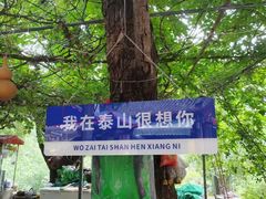 -泰山风景名胜区