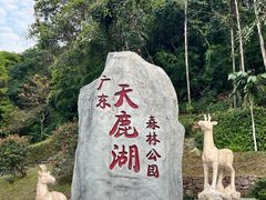 -天鹿湖森林公园