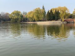 -古塔公园