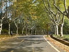 -宜兴龙背山森林公园