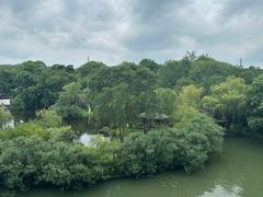-无锡蠡湖国家湿地公园-蠡园