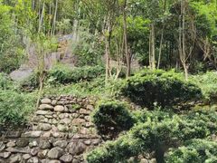 -宜春明月山维景国际温泉度假酒店