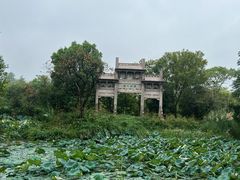 -西溪国家湿地公园