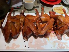 红烧乳鸽-大鸽饭(北京路店)