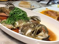-陶然轩(沙面店)