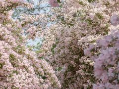 -永定河休闲森林公园