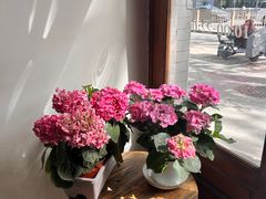 -1901 Cafe(西四店)