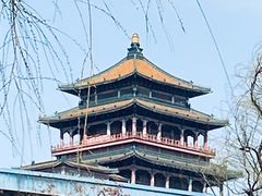 -莲花池公园