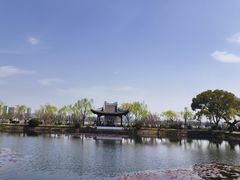 -无锡蠡湖国家湿地公园-蠡园