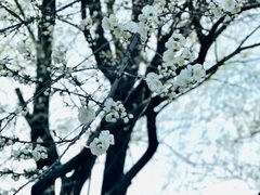 -颐和园
