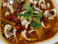 -焯明脆肉鲩世家(金沙洲店)