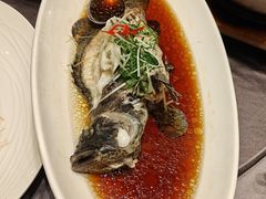 -骏莱海鲜鱼港(五角场店)