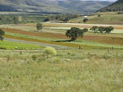 -塞罕坝国家级自然保护区