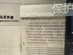 -北京周口店北京人遗址博物馆