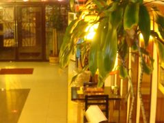 -松子日式料理(东朝阳路店)