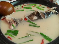 -馬蘭花開(车站大道店)