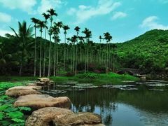 -西涌国际滨海旅游区