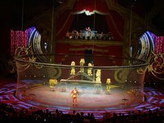 -珠海横琴长隆《卡卡虎奇遇记》