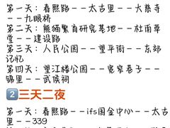 -王婆婆老妈蹄花川菜馆·非物质文化遗产(太古里一店)