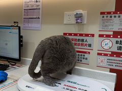 -御宝贝24h宠物医院·转诊中心·CT核磁血透中心(厦门总院)