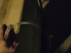 -金塔傣乡·云南民族特色菜·傣味手抓饭(金瓦路店)