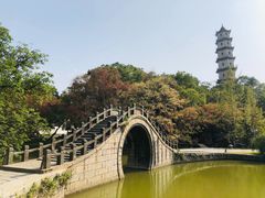 -江心屿景区