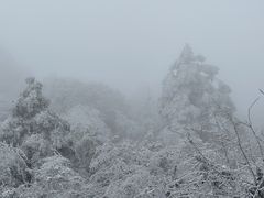 -龙苍沟森林公园