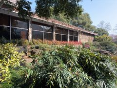 -中国茶叶博物馆(双峰馆区)