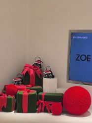 -紫御国际抗衰ZOE ANTI AGING