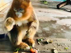 -大连森林动物园