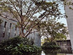 -三亚太阳湾柏悦酒店