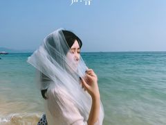 -杨梅坑