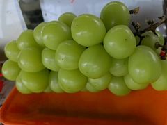 -马陆小张葡萄园农家乐