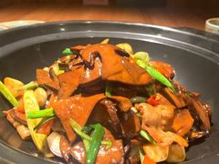 砂锅牛肝菌-青年公社烤鸭(青年路店)