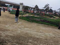 -秀丽东方