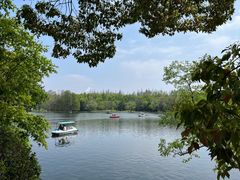 -上海共青森林公园