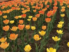 -长春公园(普阳街道)