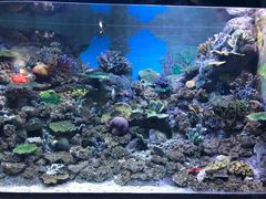 -常州海昌海洋探索馆