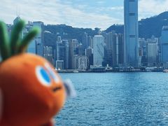 -海港城
